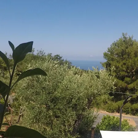 Da Maria Teresa -