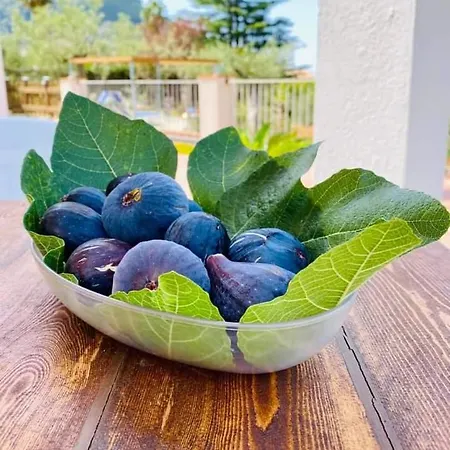 Da Maria Teresa - 3* Maratea