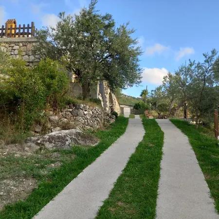 Alojamento de Acomodação e Pequeno-almoço Da Maria Teresa - 3*