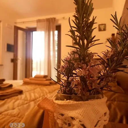 Bed & Breakfast Da Maria Teresa - Maratea