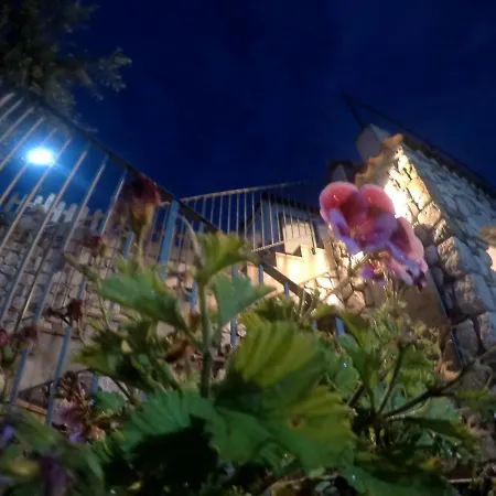 Alojamento de Acomodação e Pequeno-almoço Da Maria Teresa -