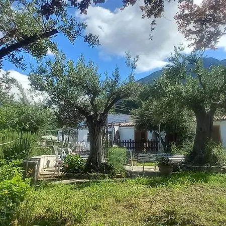 Alojamento de Acomodação e Pequeno-almoço Da Maria Teresa - Maratea