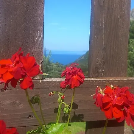 Da Maria Teresa - Couette-café Maratea