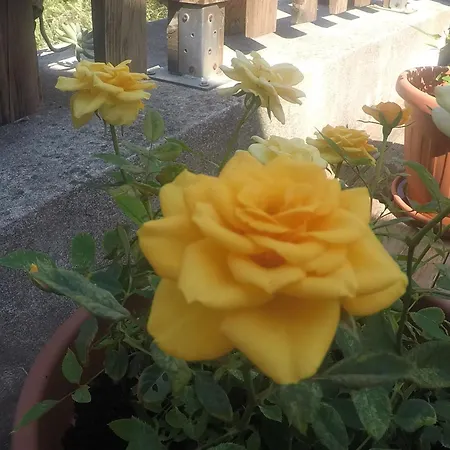 Bed & Breakfast Da Maria Teresa - 3*