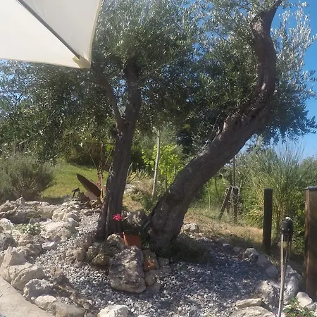 Da Maria Teresa - Bed & Breakfast