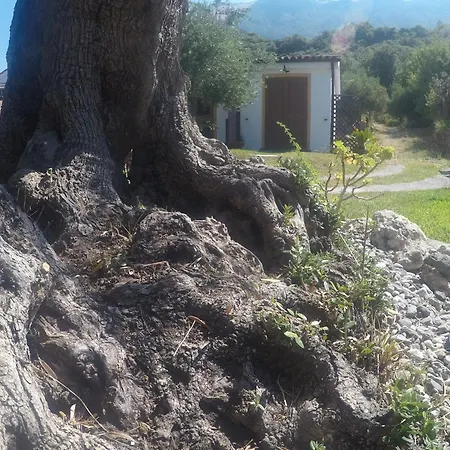 Alojamento de Acomodação e Pequeno-almoço Da Maria Teresa - Maratea