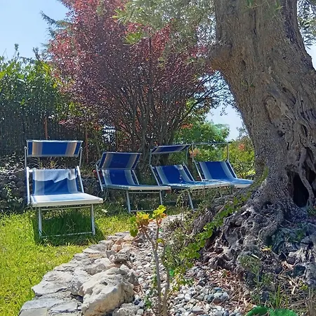 Da Maria Teresa - 4* Maratea