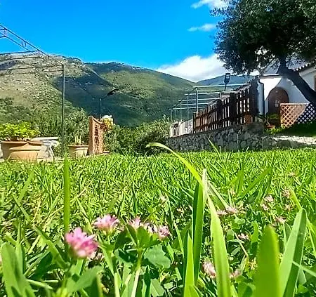 Bed & Breakfast Da Maria Teresa - 4*
