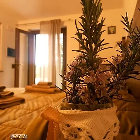 Da Maria Teresa - 4*
