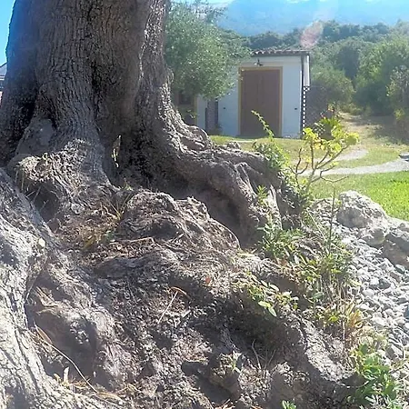 Da Maria Teresa - Bed & Breakfast Maratea