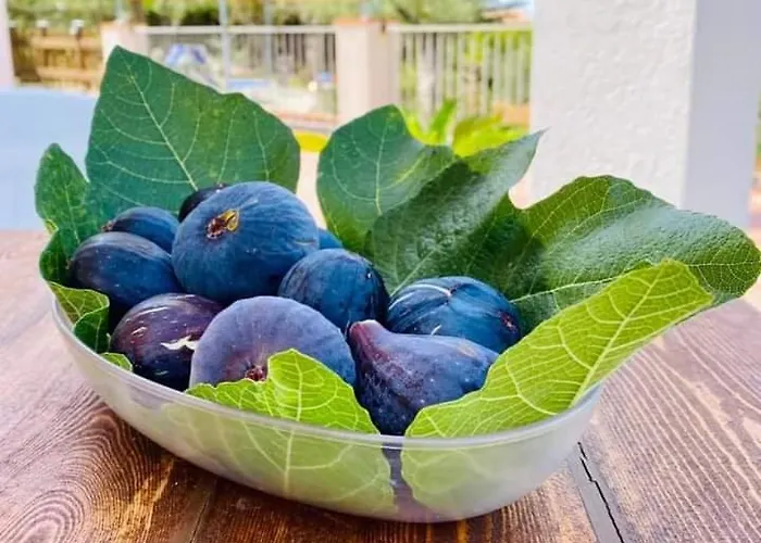 Da Maria Teresa - 3* Маратея