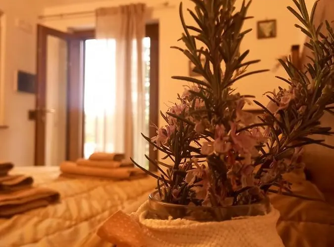 Nocleg ze śniadaniem Da Maria Teresa - Maratea