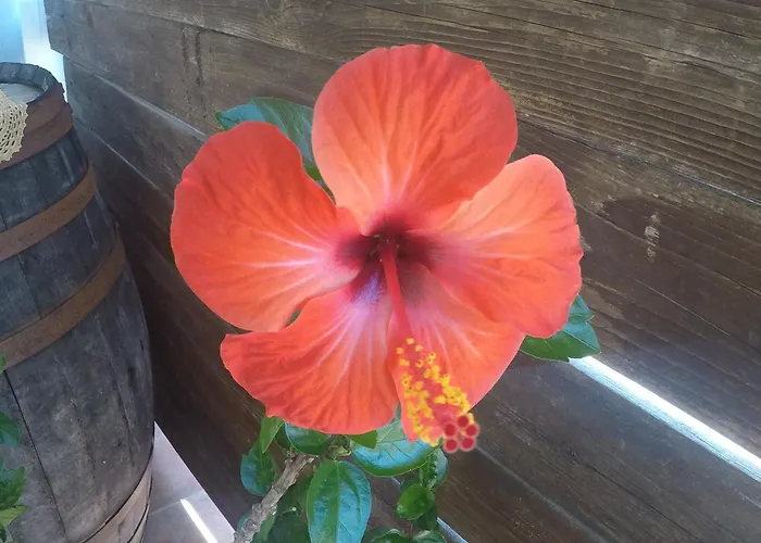 Da Maria Teresa - Отель типа 