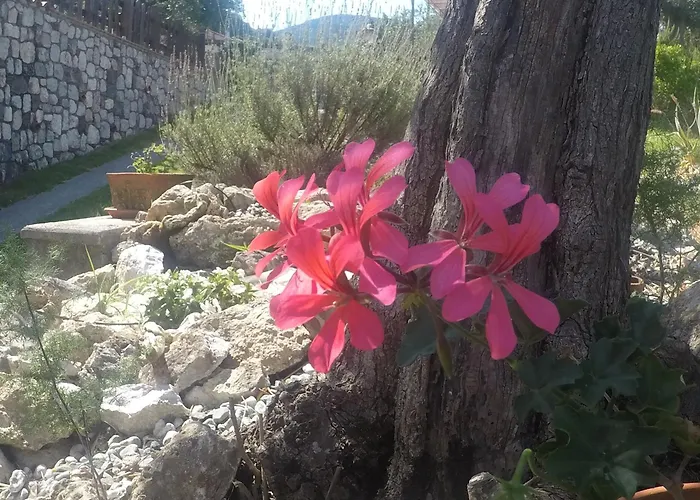 Bed & Breakfast Da Maria Teresa -