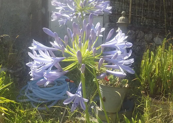 Bed & Breakfast Da Maria Teresa - 3*